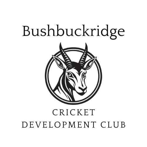 Bushbuckridge Cricket Club official logo